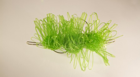 anello-verde